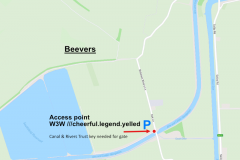 Beavers